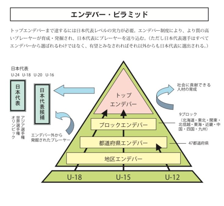 日本籃球體制